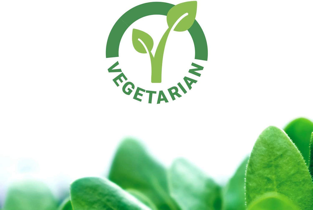 DHEA 100 Mg 60 Vegetarian Capsules Life Extension